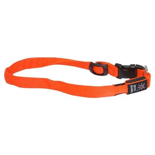 Orange LED Lighted Dog Collar - Size: Small - Click Image to Close